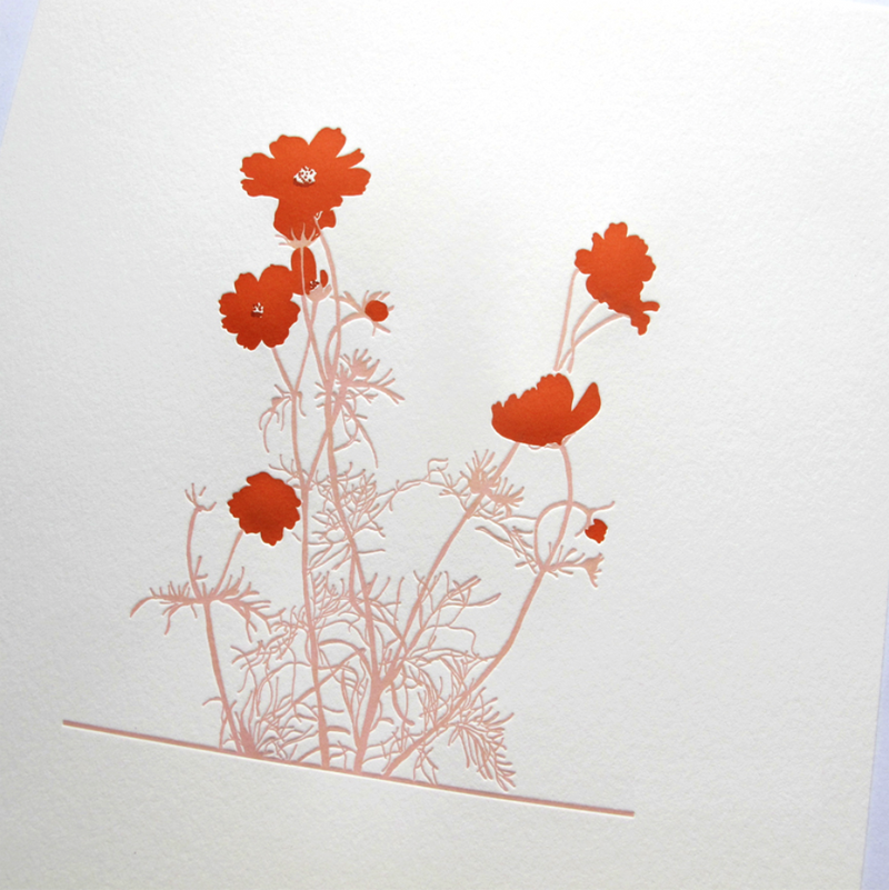 Dancing Cosmos Print