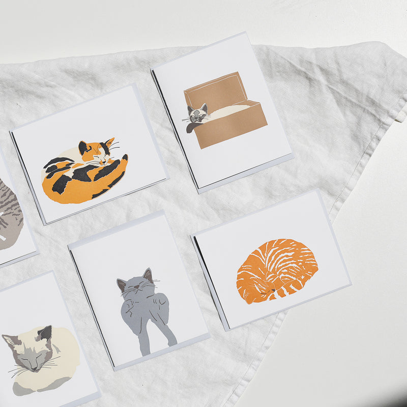 Cat Nap Card Set