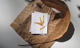 Bronze Leaf