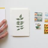 Card Club : A monthly card subscription