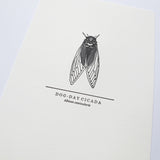 Cicada Print