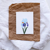 Blue Iris Card