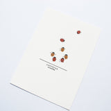 Ladybug Print