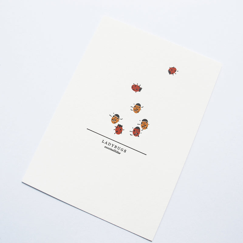 Ladybug Print