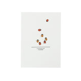 Ladybug Print