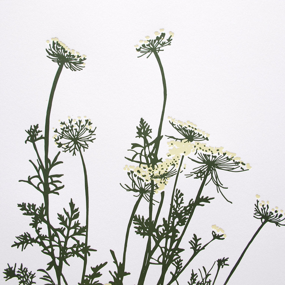 Wild Carrot Print (Large)