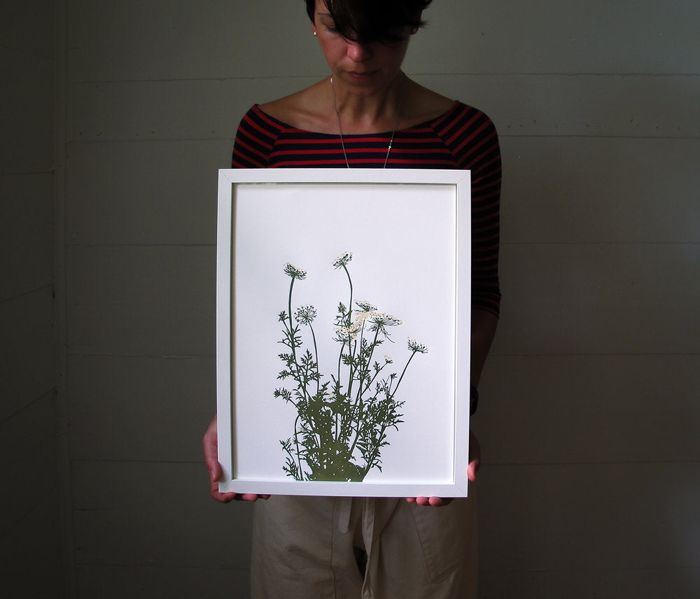 Wild Carrot Print (Large)