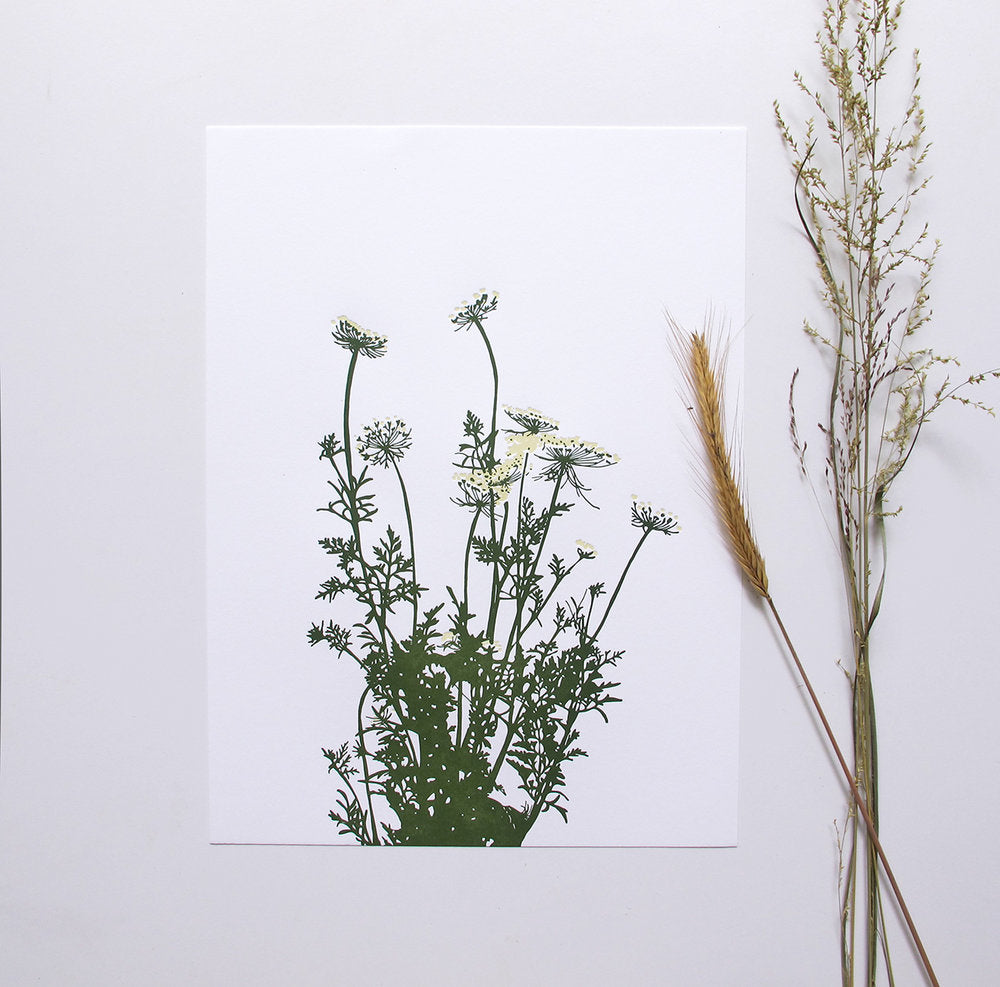 Wild Carrot Print (Large)